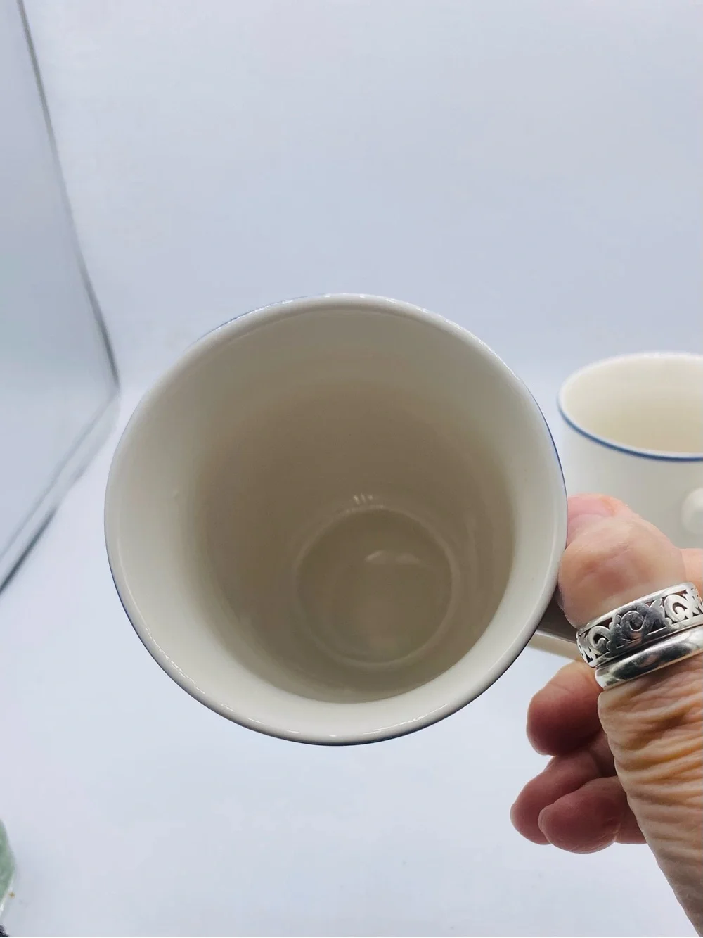 Pottery Barn China Floral Rim Collection Set of 2 Discontinued